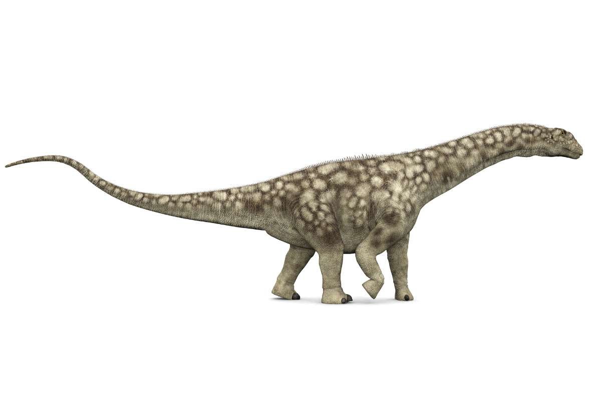 Biggest Dinosaurs Ever: Discover Titans Bigger Than T-Rex | The Lifesciences Magazine