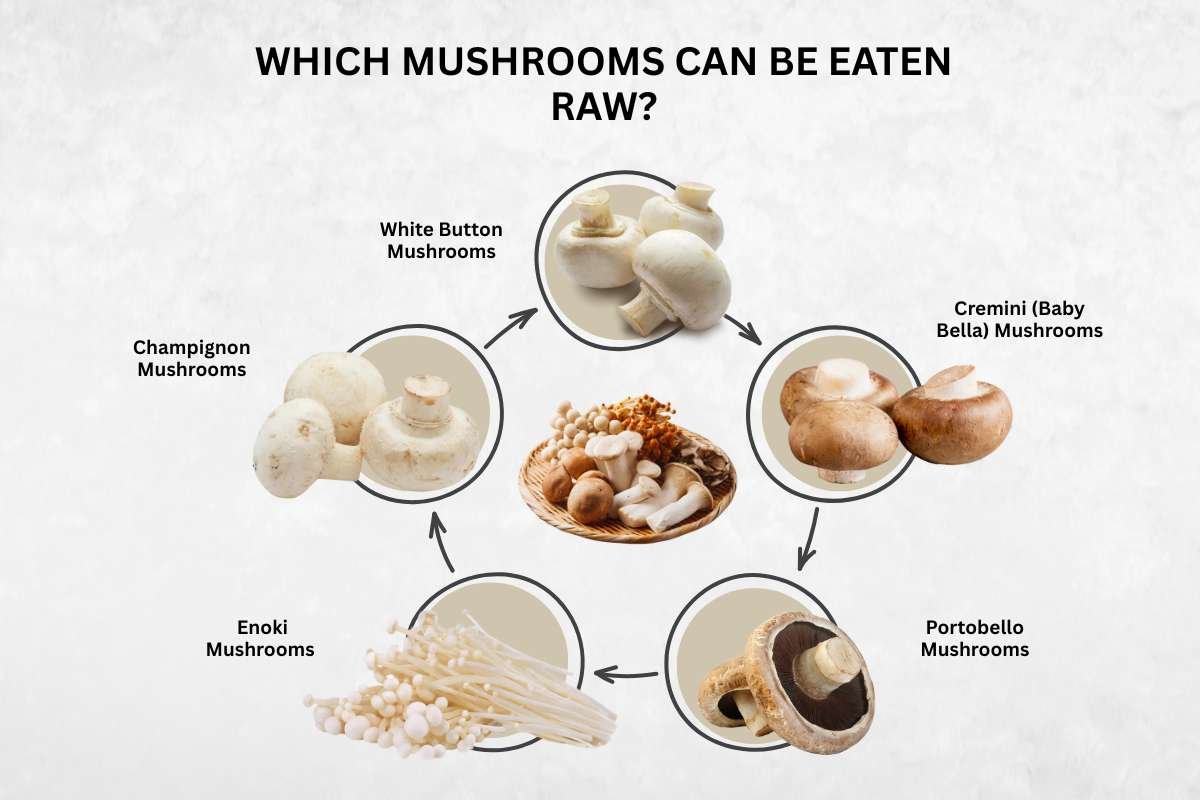 Can You Eat Mushroom Raw? The Answer Might Surprise you! | The Lifesciences Magazine