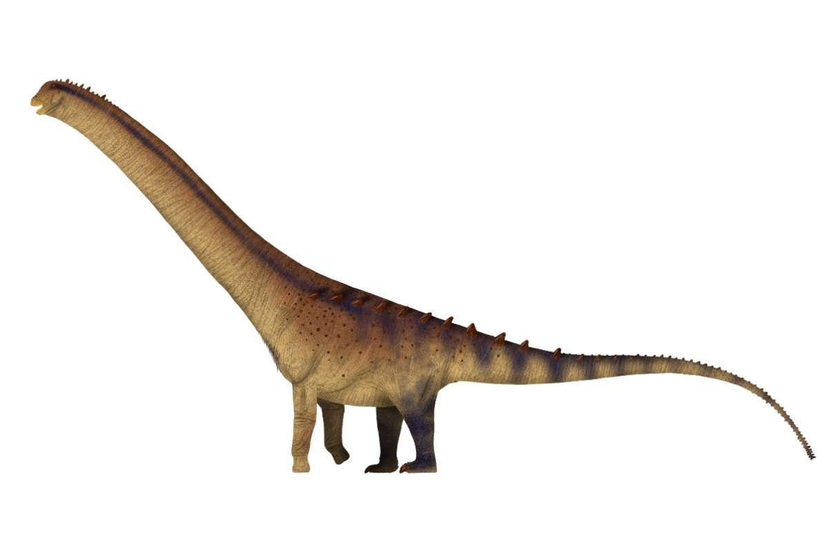 Biggest Dinosaurs Ever: Discover Titans Bigger Than T-Rex | The Lifesciences Magazine