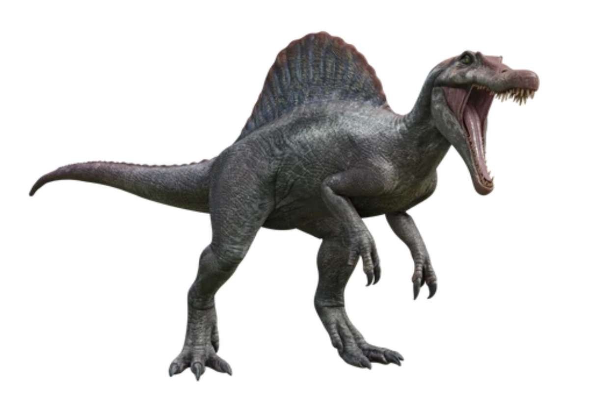Biggest Dinosaurs Ever: Discover Titans Bigger Than T-Rex | The Lifesciences Magazine