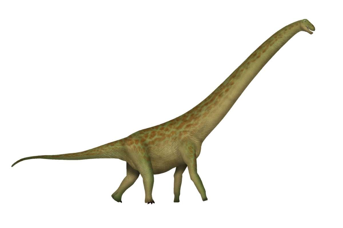 Biggest Dinosaurs Ever: Discover Titans Bigger Than T-Rex | The Lifesciences Magazine