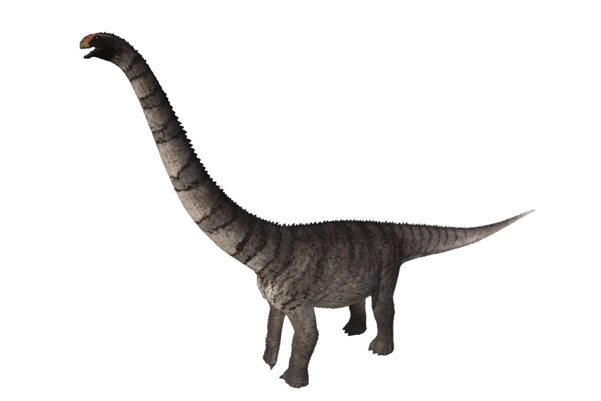 Biggest Dinosaurs Ever: Discover Titans Bigger Than T-Rex | The Lifesciences Magazine