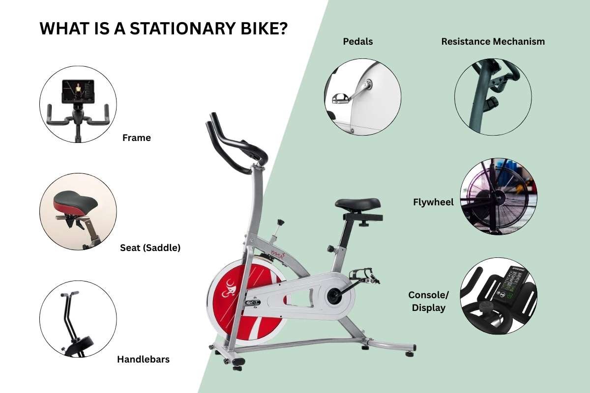 Stationary Bike Workout: Science Behind Its Effectiveness | The Lifesciences Magazine