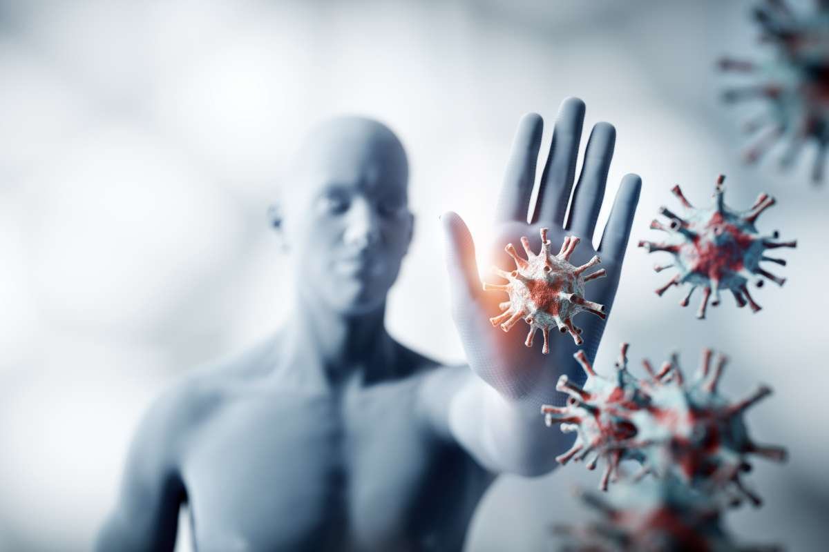 Humoral vs Cell-Mediated Immunity: Key Differences Explained | The Lifesciences Magazine