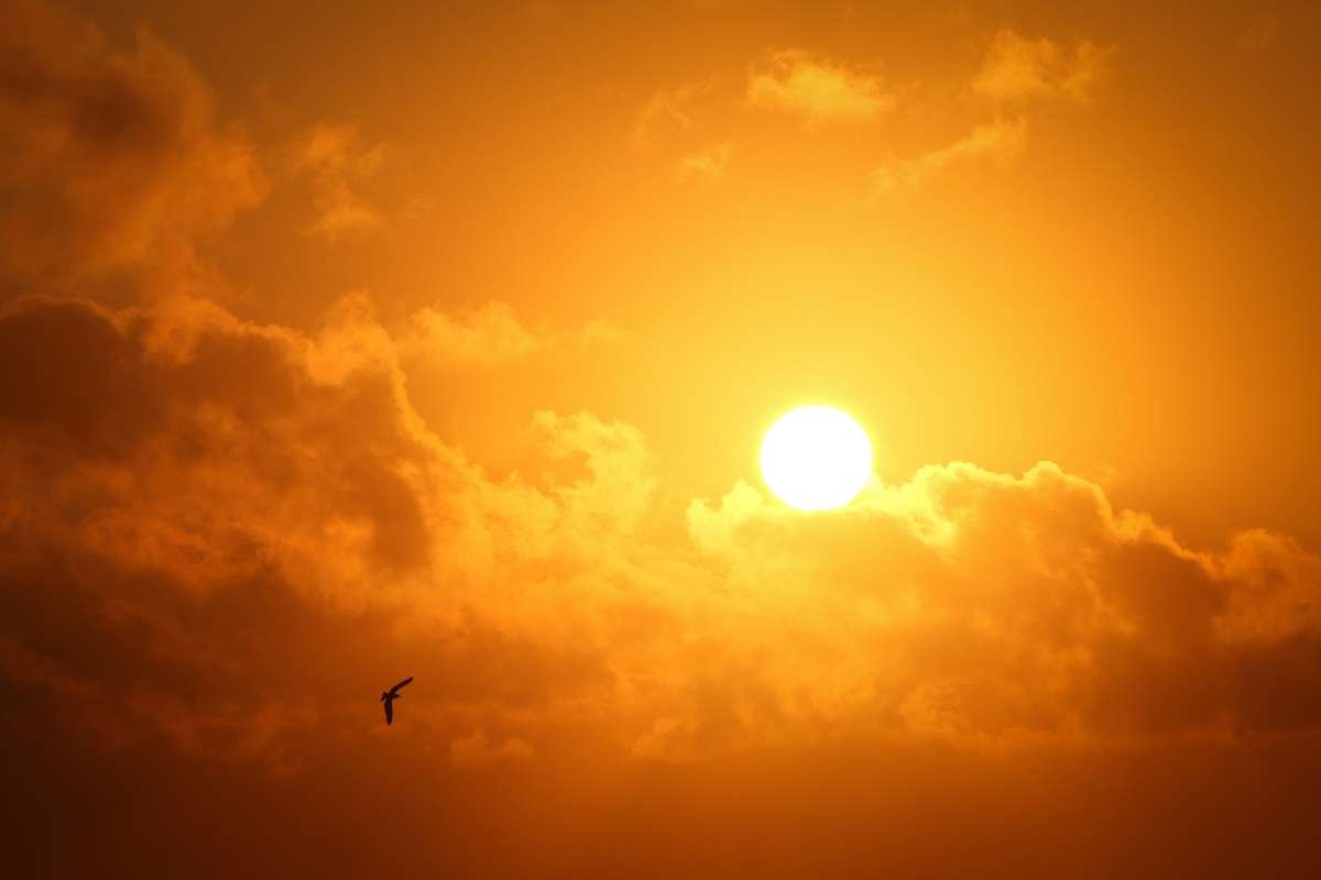 Sunrise or Sunset: The Magic of Both | The Lifesciences Magazine