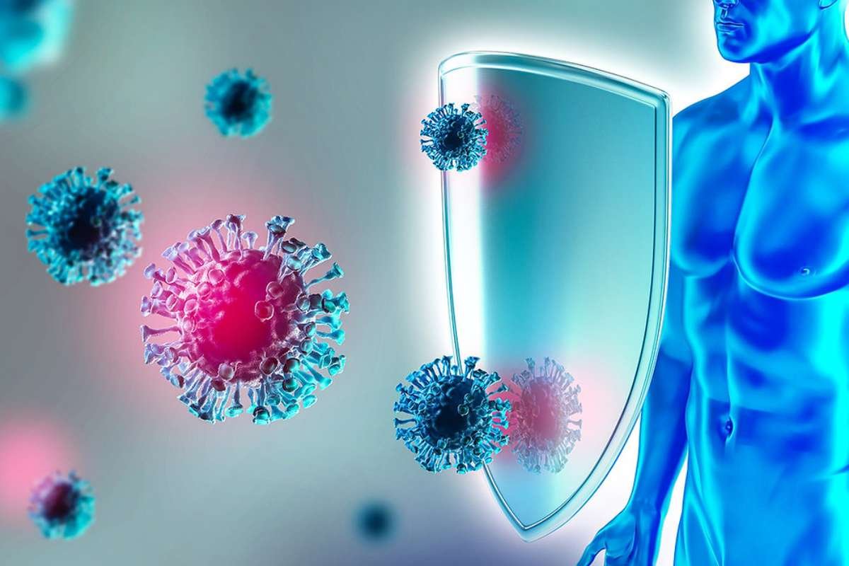 Humoral vs Cell-Mediated Immunity: Key Differences Explained | The Lifesciences Magazine