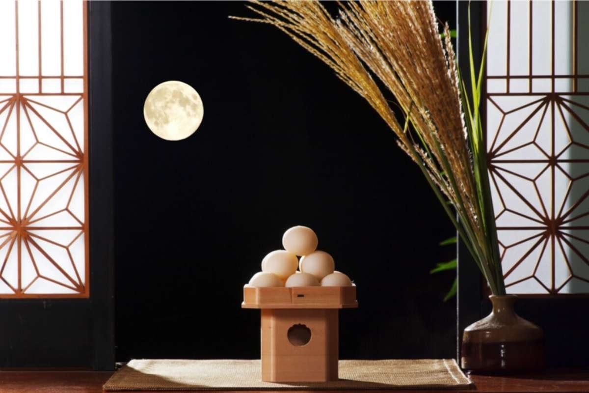 Are the Mysteries of the Moon Hiding Something Bigger? | The Lifesciences Magazine