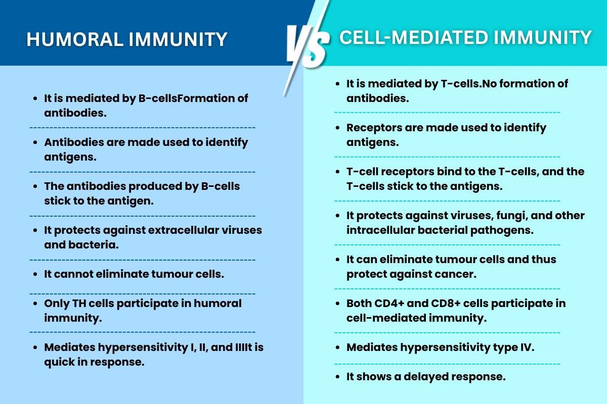 Humoral vs Cell-Mediated Immunity: Key Differences Explained | The Lifesciences Magazine