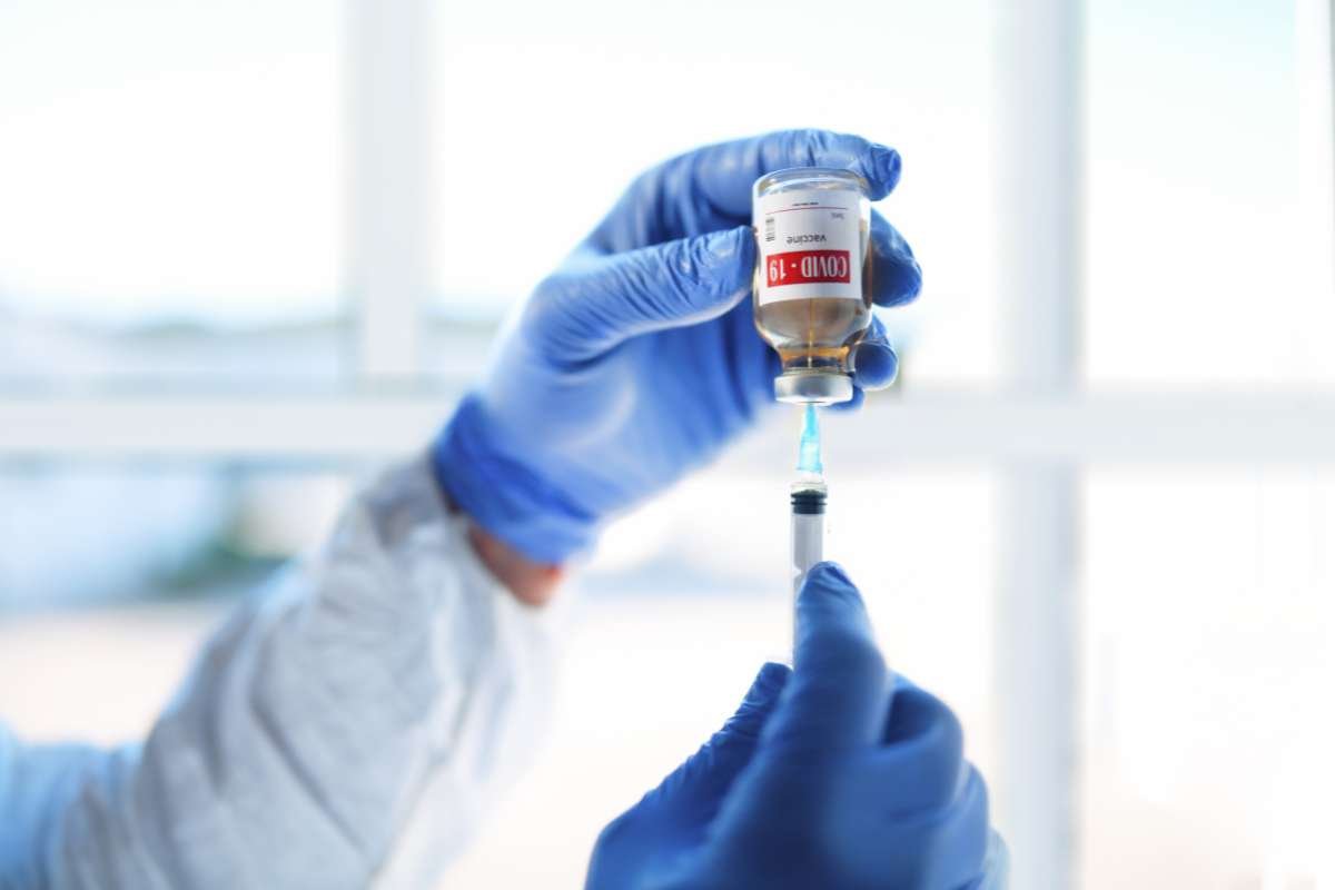 Humoral vs Cell-Mediated Immunity: Key Differences Explained | The Lifesciences Magazine