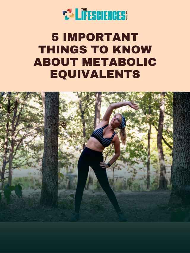 6 Important Things About Metabolic Equivalents | The Lifesciences Magazine