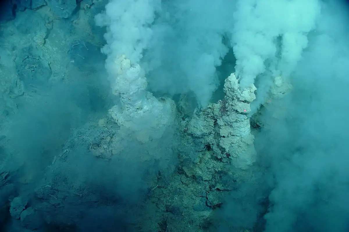 Discovering the Last Universal Common Ancestor: Life’s Origins Traced Back 4.2 Billion Years | The Lifesciences Magazine