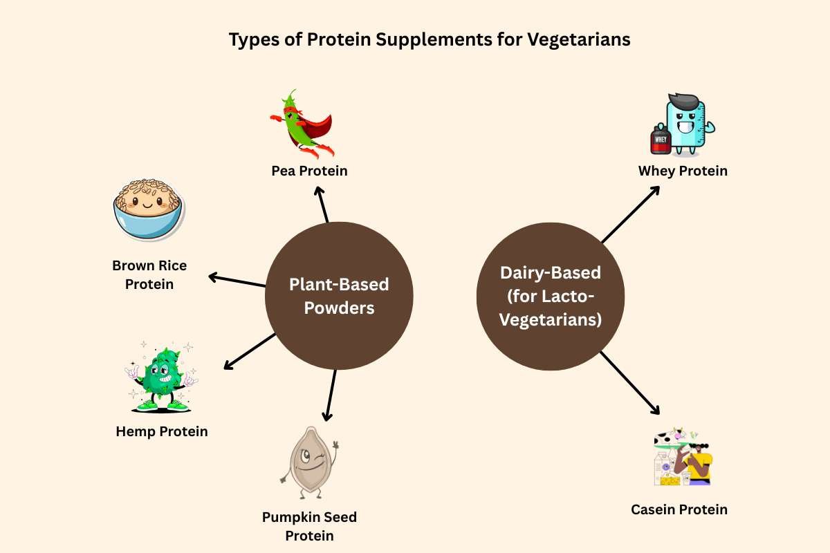 Can Protein Supplements for Vegetarians Help Build Muscles? | The Lifesciences Magazine