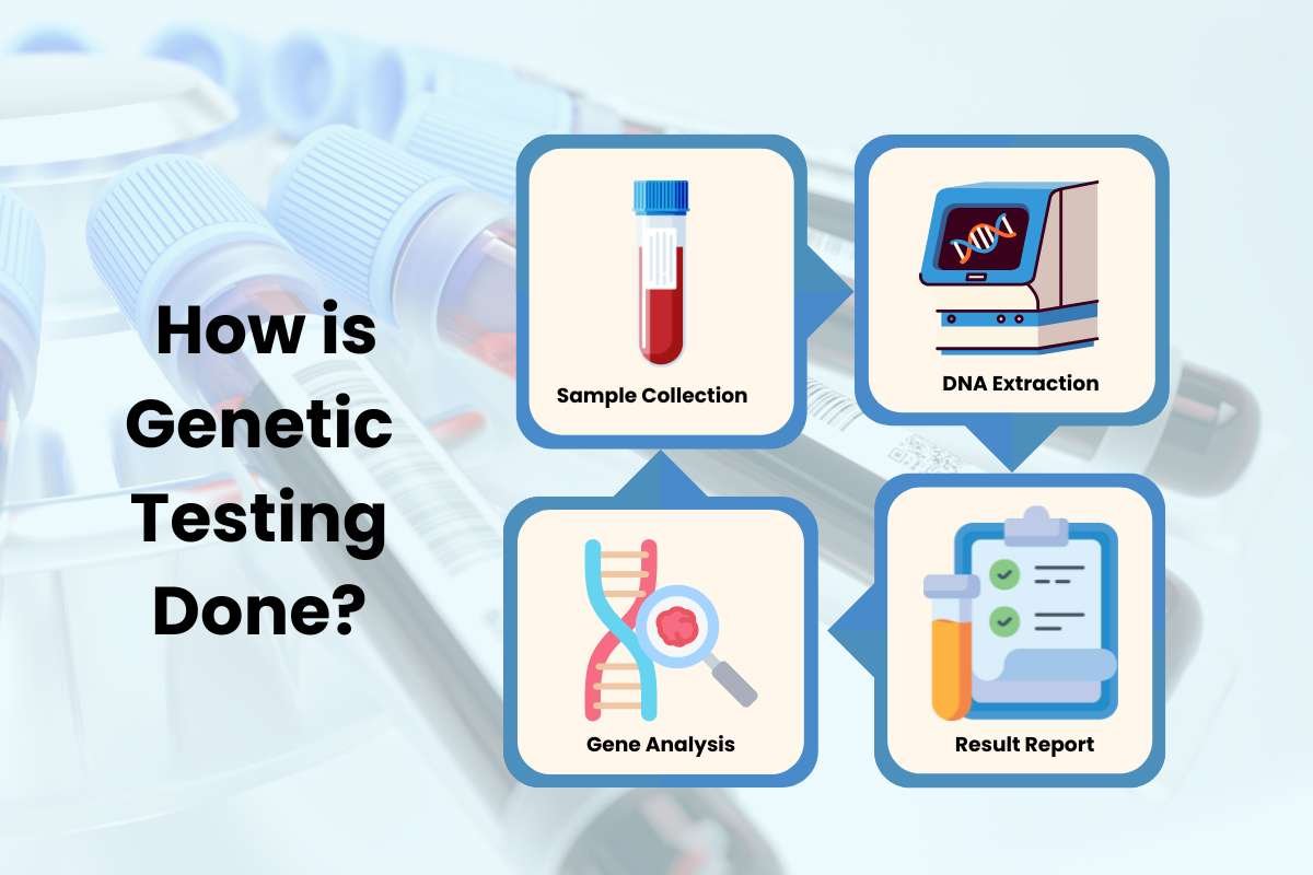 How Genetic Testing Can Improve Your Health Decisions? | The Lifesciences Magazine