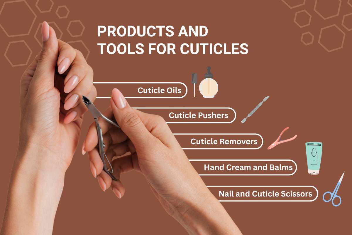 What Are Cuticles and How to Pamper Them Like a Pro? | The Lifesciences Magazine