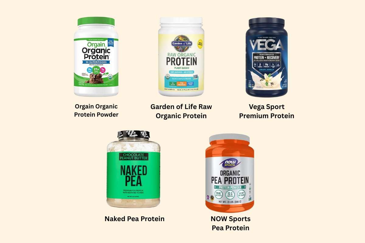 Can Protein Supplements for Vegetarians Help Build Muscles? | The Lifesciences Magazine