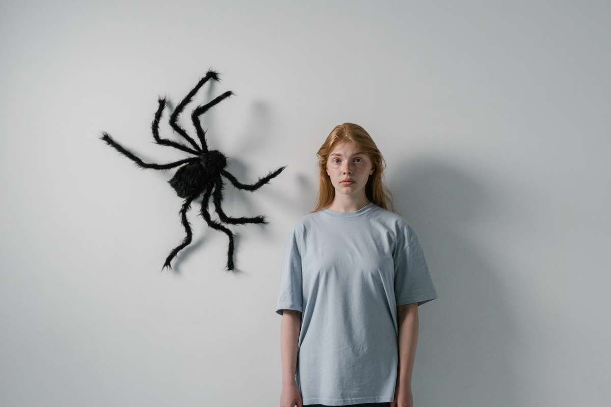 Are You Brave Enough for the Biggest Spiders in the World? | The Lifesciences Magazine