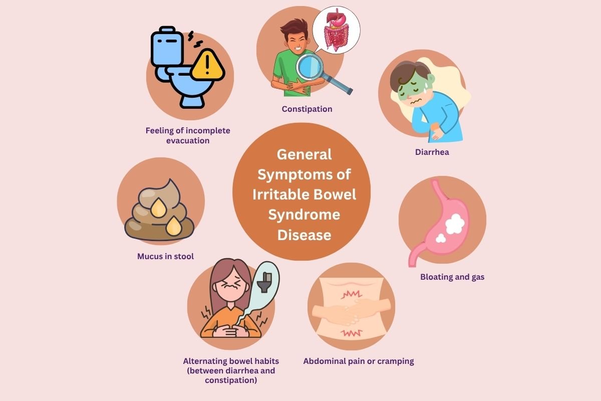 Irritable Bowel Syndrome Disease: Signs You Shouldn’t Ignore | The Lifesciences Magazine