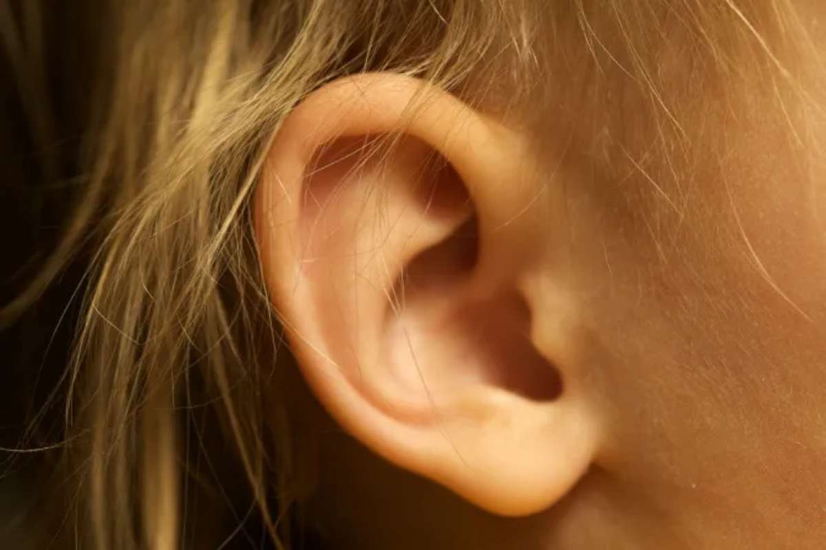 Understand Your Genetics Through the Types of Earlobes | The Lifesciences Magazine