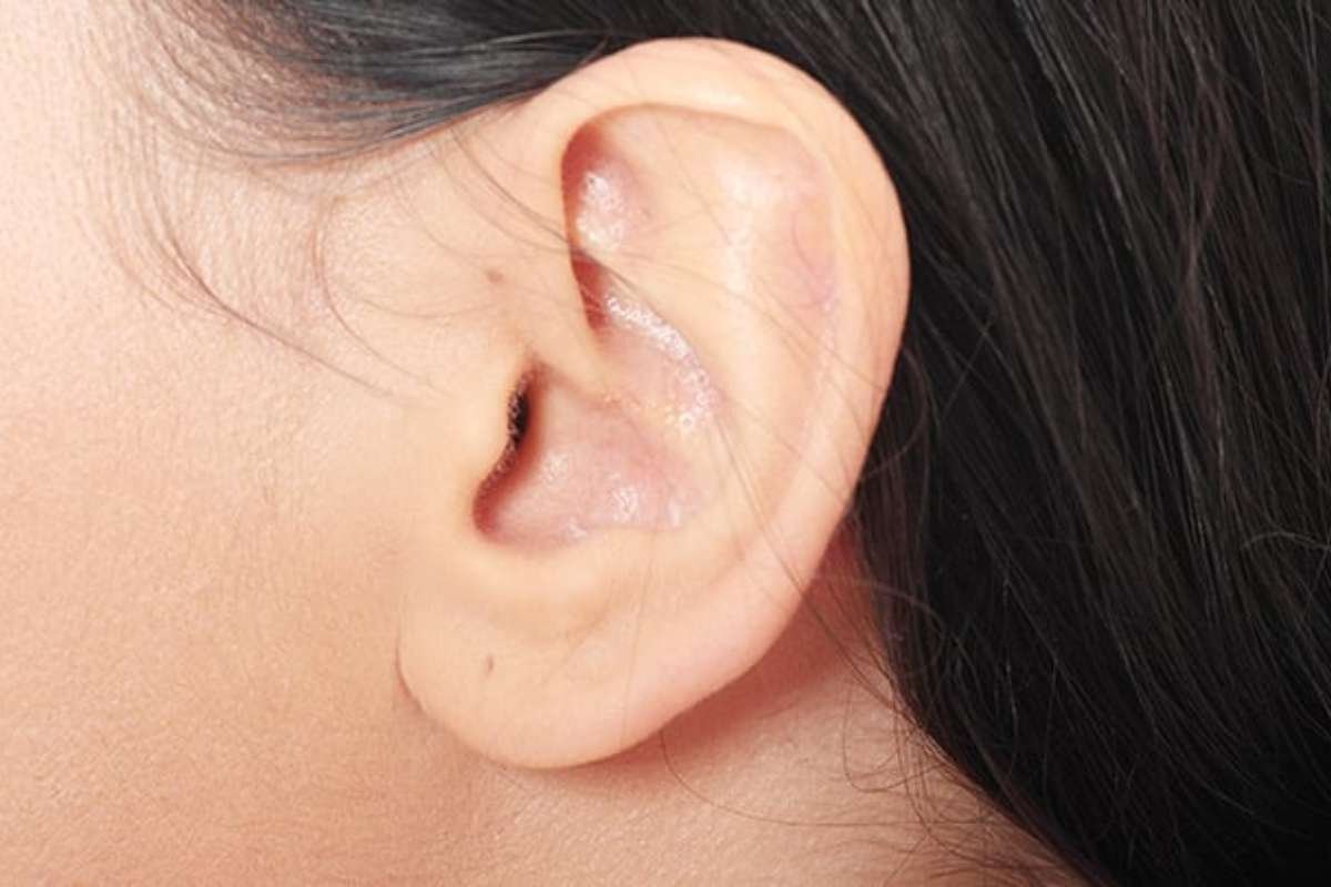 Understand Your Genetics Through the Types of Earlobes | The Lifesciences Magazine