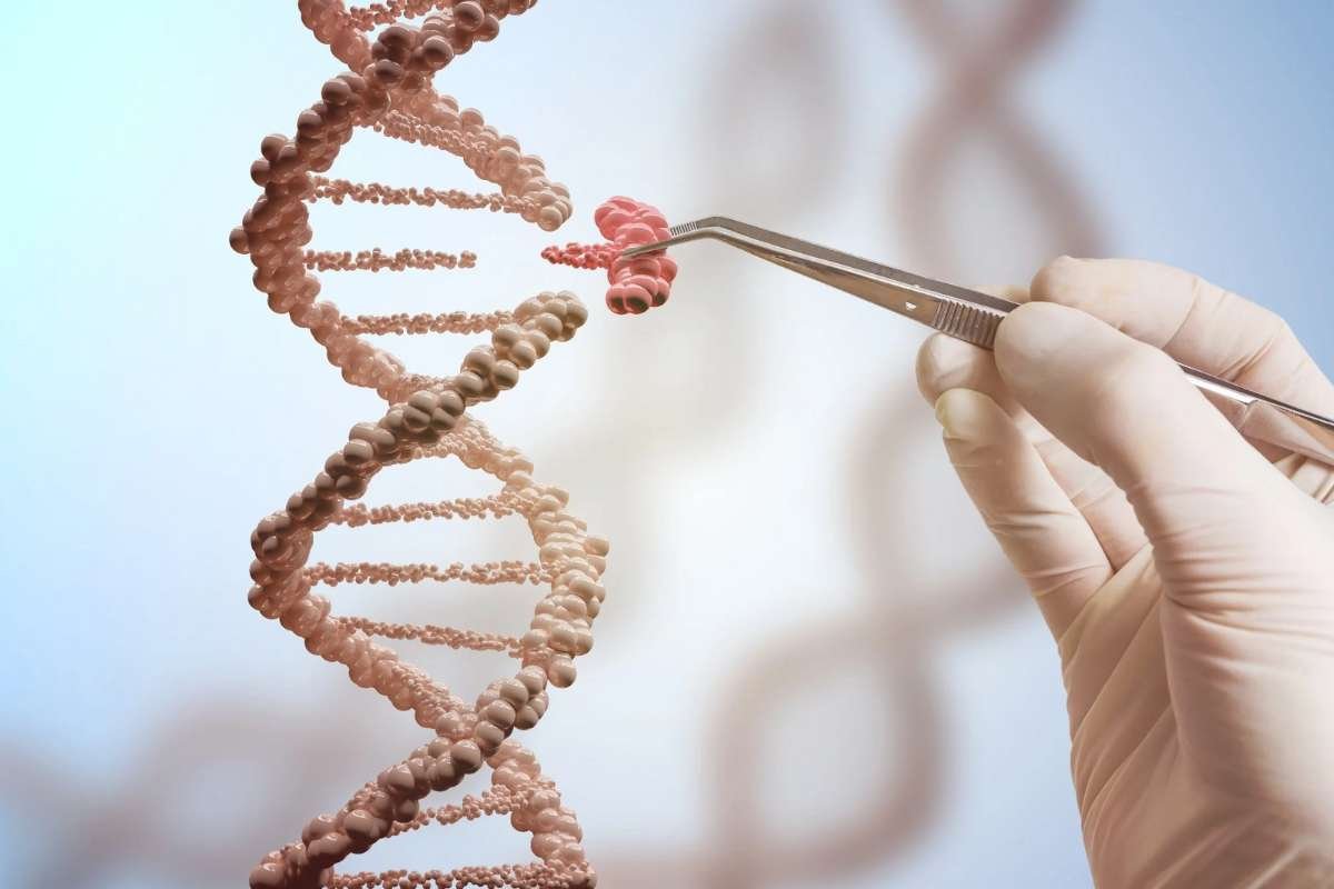 Groundbreaking CRISPR HIV Study Eliminates Virus from Human Cells | The Lifesciences Magazine