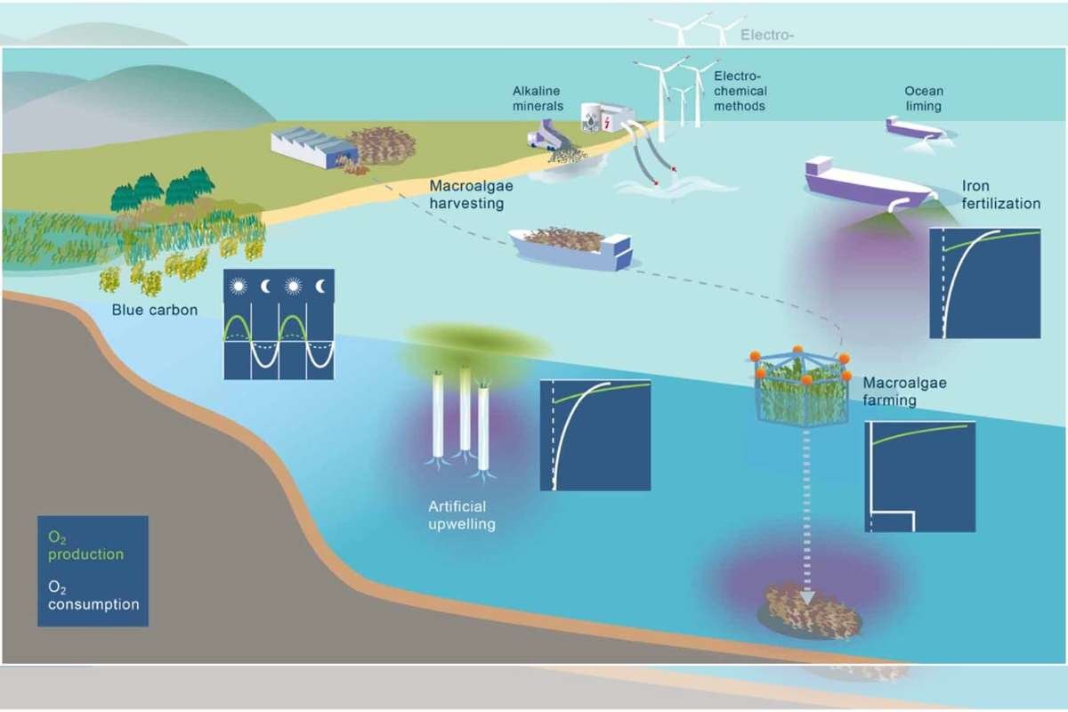Climate Fix or Ocean Risk? Ocean Deoxygenation Concerns from Carbon Removal Methods | The Lifesciences Magazine