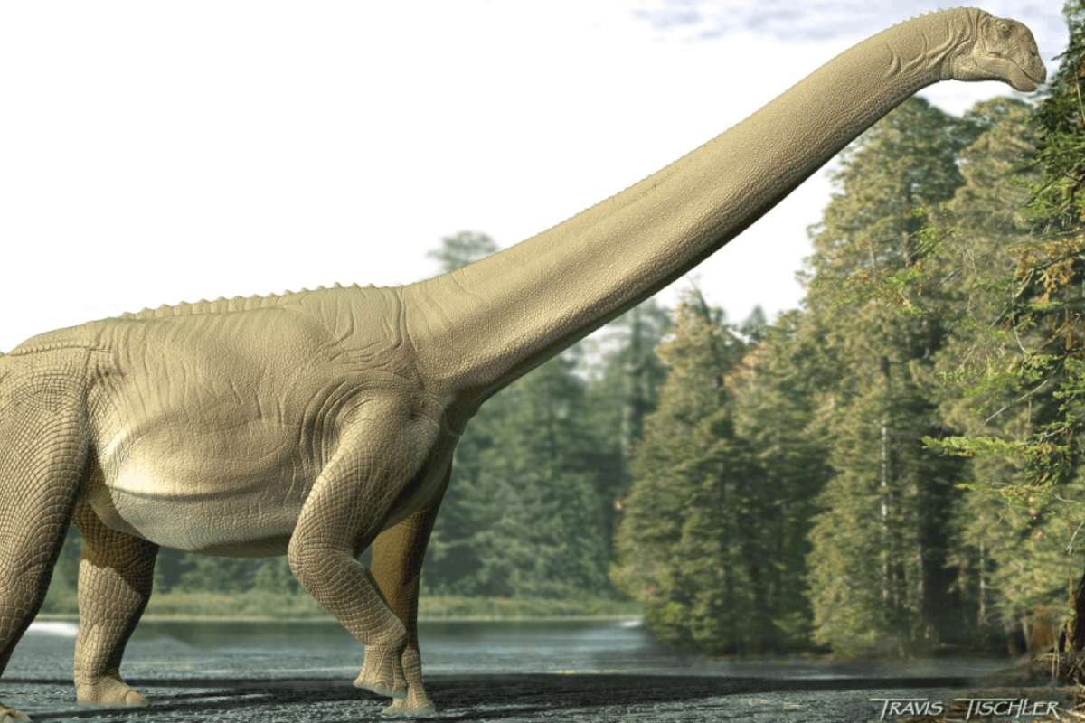 Fossil First: Sauropod Stomach Contents Reveal Fermentation-Fueled Digestion | The Lifesciences Magazine