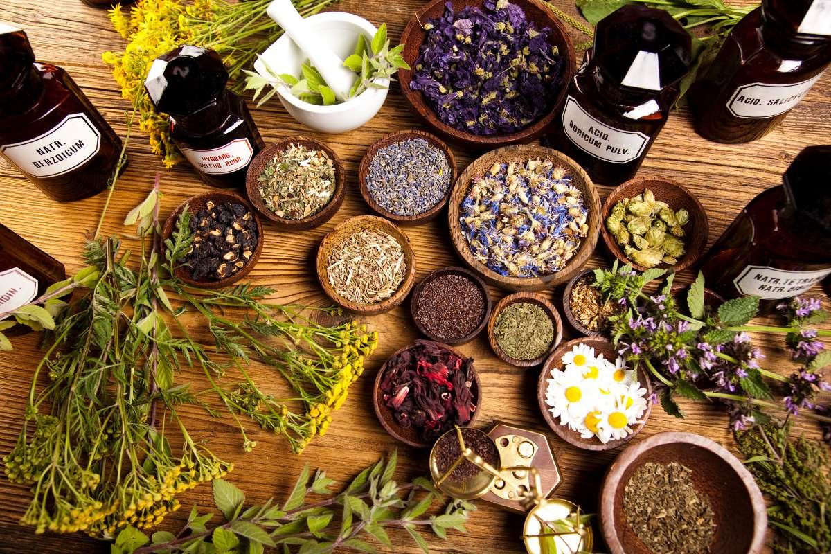 Sleep Better Tonight Using Herbal Remedies for Insomnia | The Lifesciences Magazine
