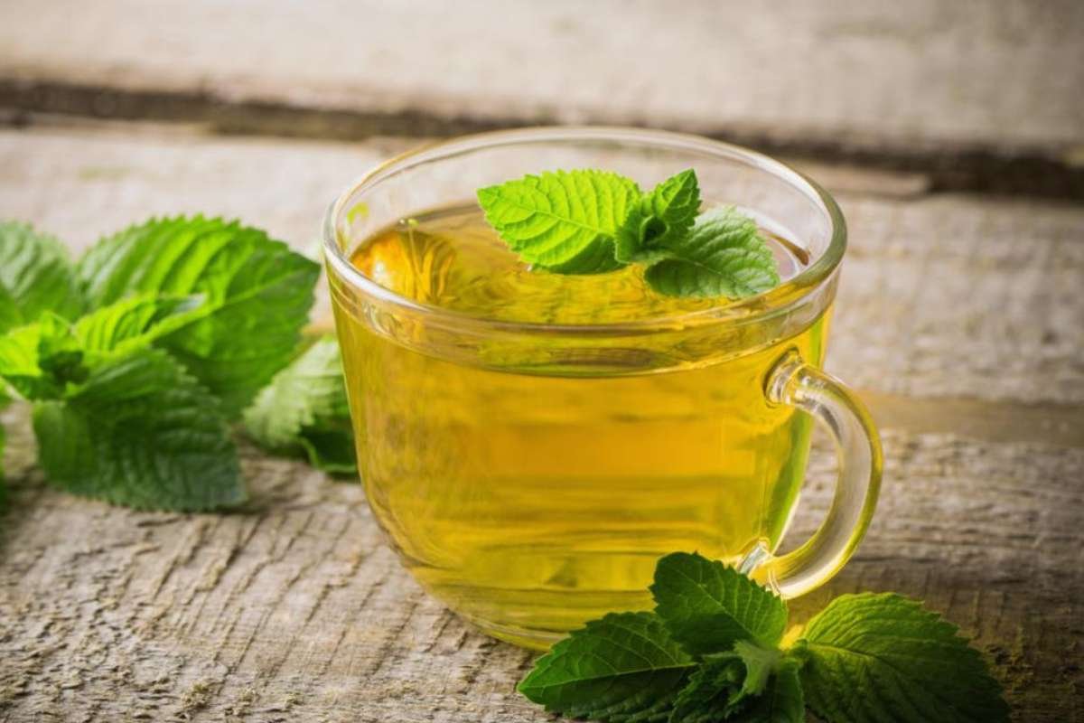 Types of Tea That May Help With Weight Loss | The Lifesciences Magazine