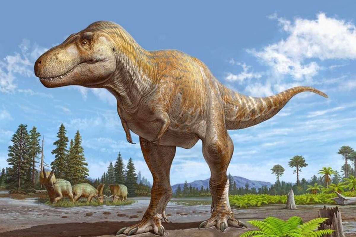 Biggest Carnivorous Dinosaurs of the Jurassic Era | The Lifesciences Magazine