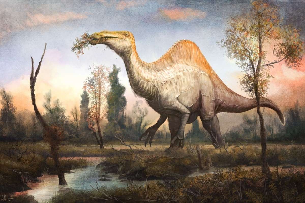 Biggest Carnivorous Dinosaurs of the Jurassic Era | The Lifesciences Magazine