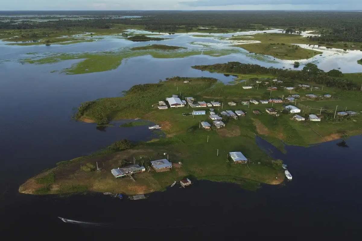 Brazil’s ‘Devastation Bill’ Sparks Global Alarm Ahead of COP30 Climate Summit | The Lifesciences Magazine