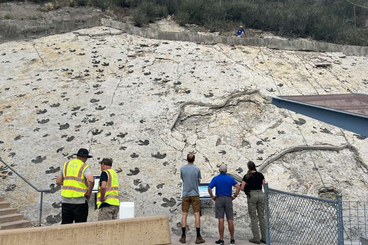 New Fossil Sites Reveal Dinosaur Mating Arena and the Social Lives of Cretaceous Dinosaurs | The Lifesciences Magazine