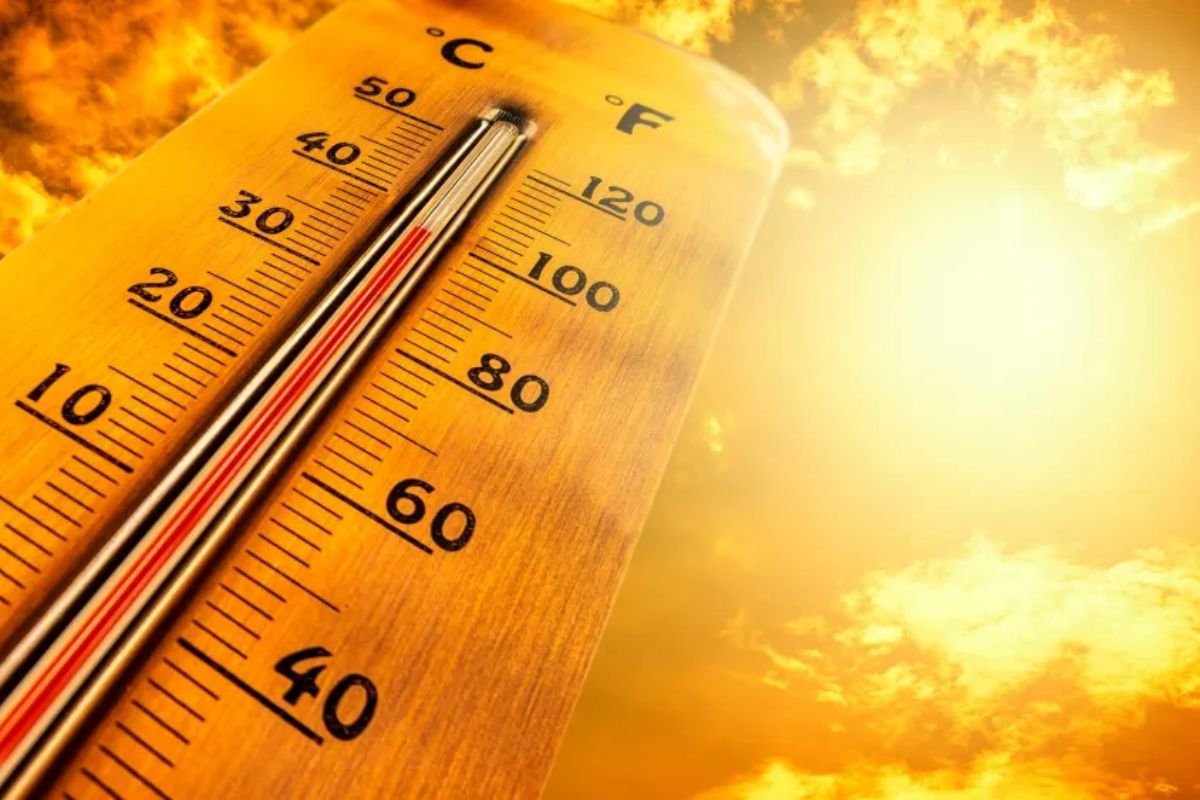 Scorching Heat Dome Grips Eastern U.S.: Records Fall, Relief Ahead | The Lifesciences Magazine