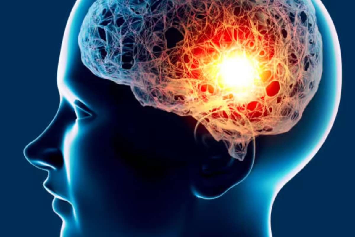 Brain-Eating Amoeba Claims Life in South Carolina: Health Officials Issue Warning | The Lifesciences Magazine