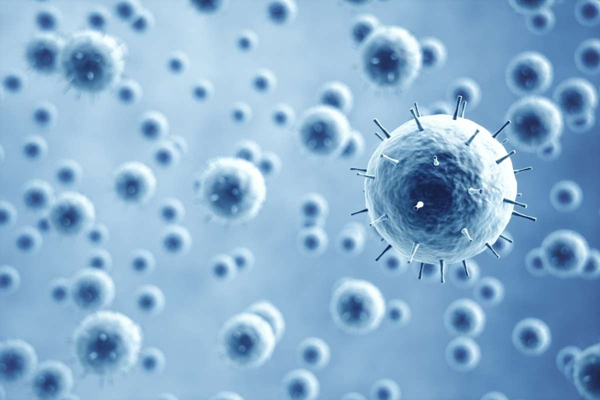 Difference Between Bacteria and Viruses Explained | The Lifesciences Magazine