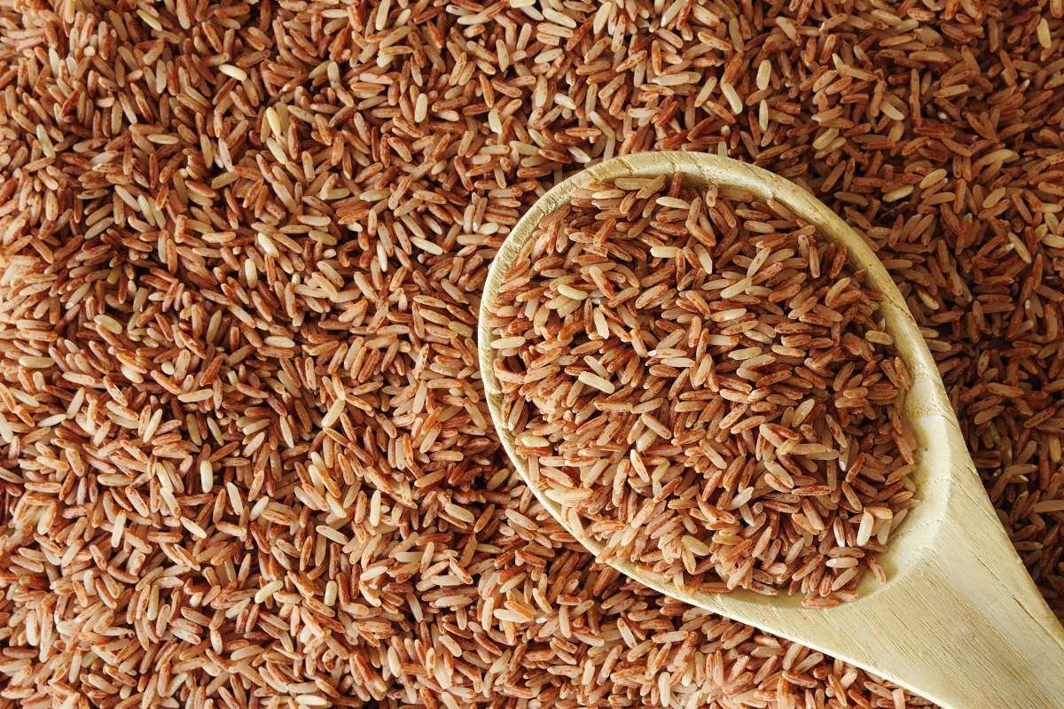 Brown, Black, or Red? The Healthiest Types of Rice May Shock You | The Lifesciences Magazine