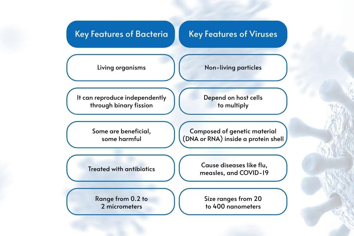 Difference Between Bacteria and Viruses Explained | The Lifesciences Magazine