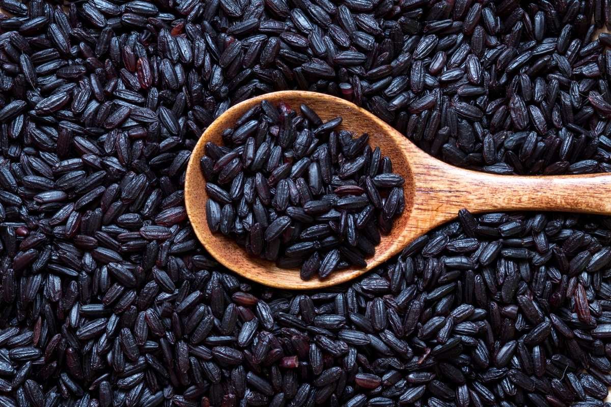 Brown, Black, or Red? The Healthiest Types of Rice May Shock You | The Lifesciences Magazine