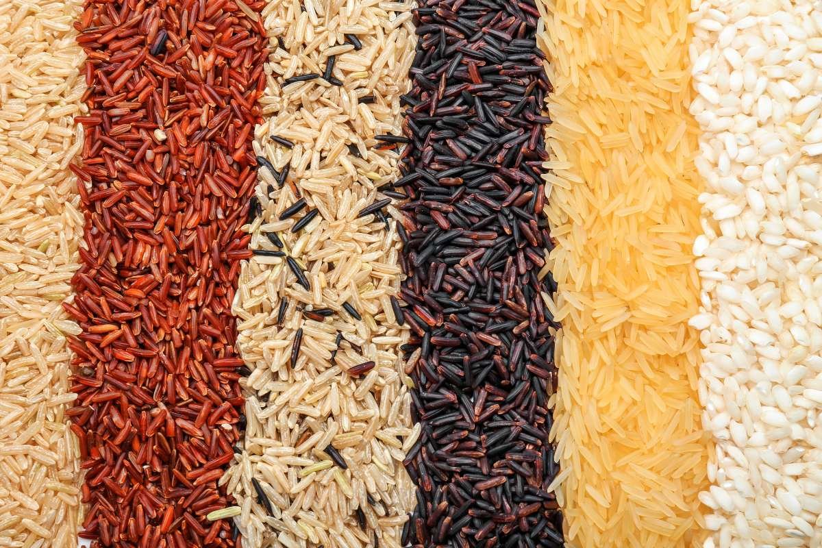 Is Rice Gluten-Free? Discover the Essential Truth Today | The Lifesciences Magazine