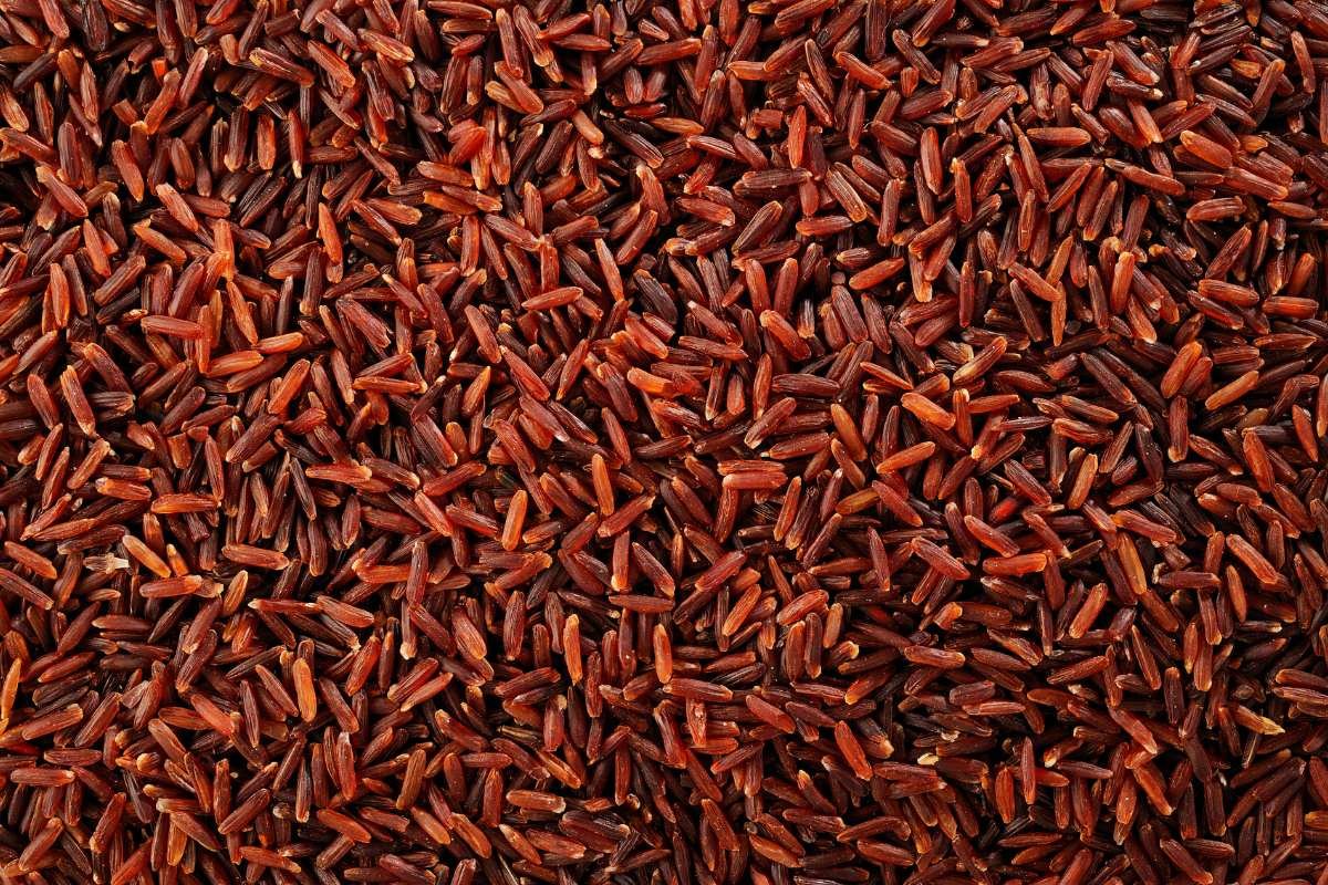Brown, Black, or Red? The Healthiest Types of Rice May Shock You | The Lifesciences Magazine