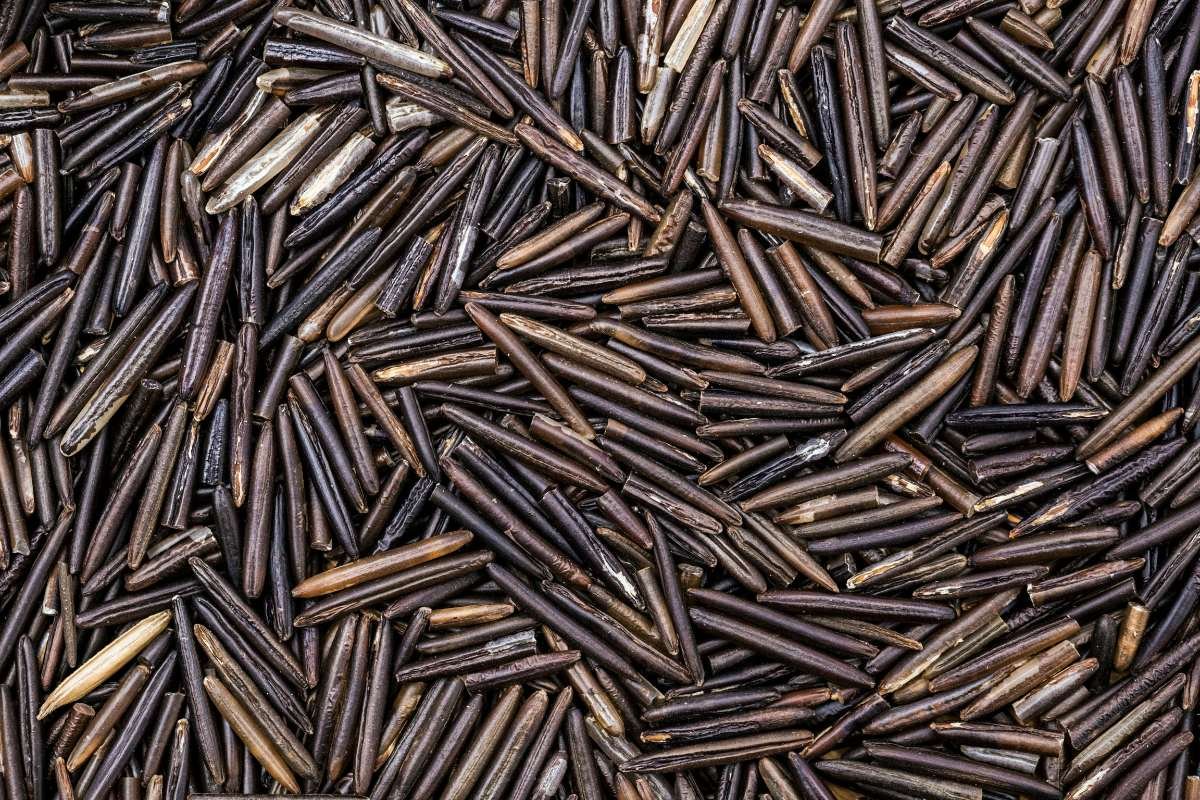 Brown, Black, or Red? The Healthiest Types of Rice May Shock You | The Lifesciences Magazine