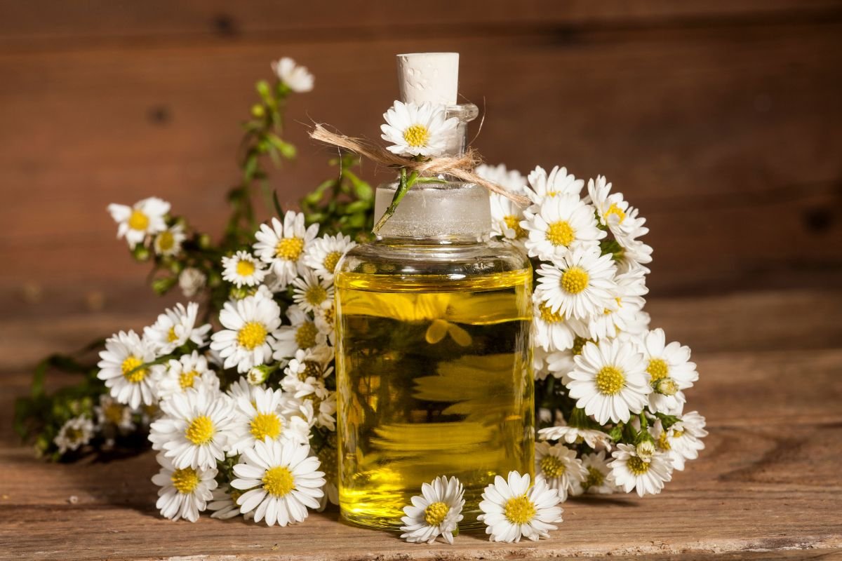 Essential Oils for Pain Relief & Safe Usage Tips | The Lifesciences Magazine