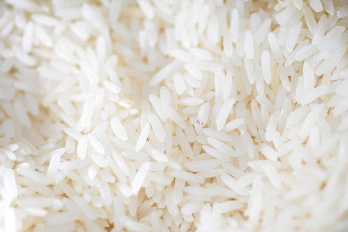 Brown, Black, or Red? The Healthiest Types of Rice May Shock You | The Lifesciences Magazine