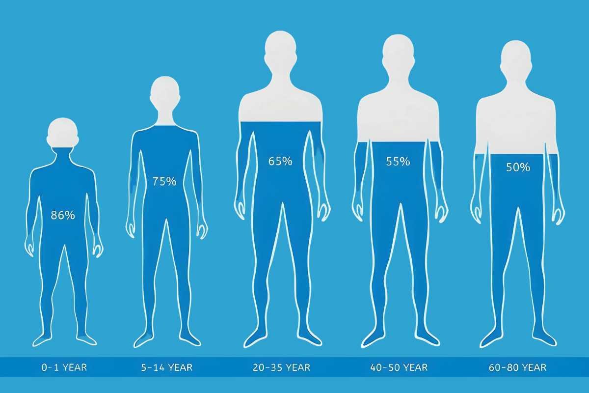Average Percentage of Water in the Human Body Revealed | The Lifesciences Magazine