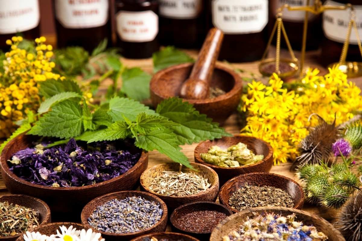 10 Common Medicines Found in Nature That Still Heal | The Lifesciences Magazine