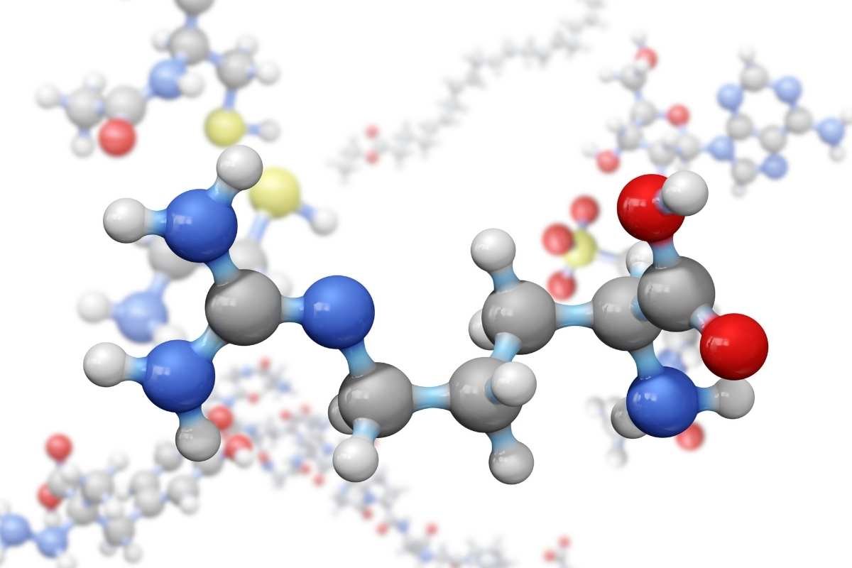Peptides vs Proteins: Key Impacts on Health and Fitness | The Lifesciences Magazine