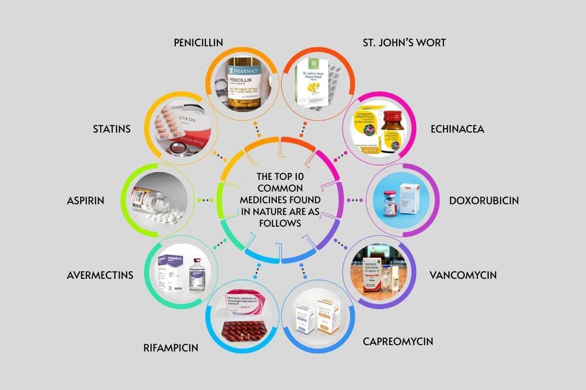 10 Common Medicines Found in Nature That Still Heal | The Lifesciences Magazine