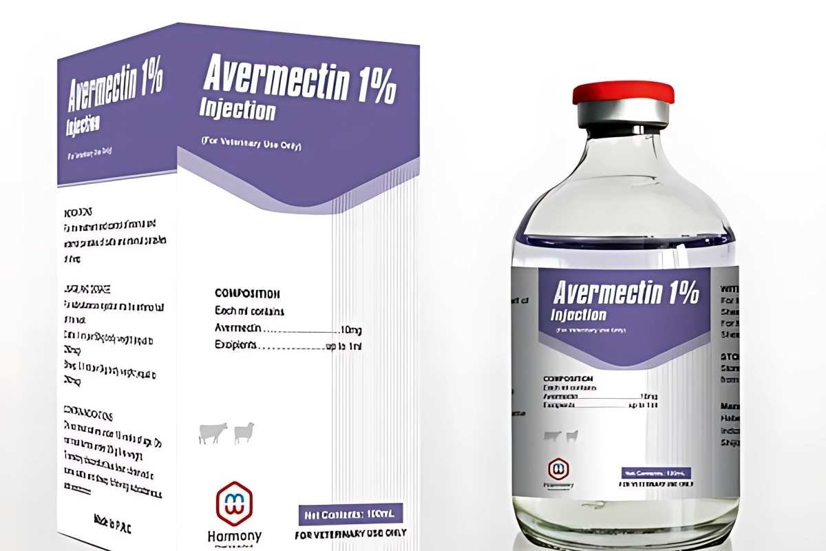 10 Common Medicines Found in Nature That Still Heal | The Lifesciences Magazine