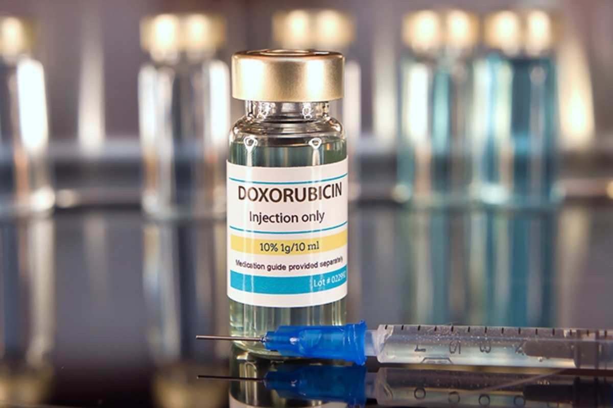 10 Common Medicines Found in Nature That Still Heal | The Lifesciences Magazine
