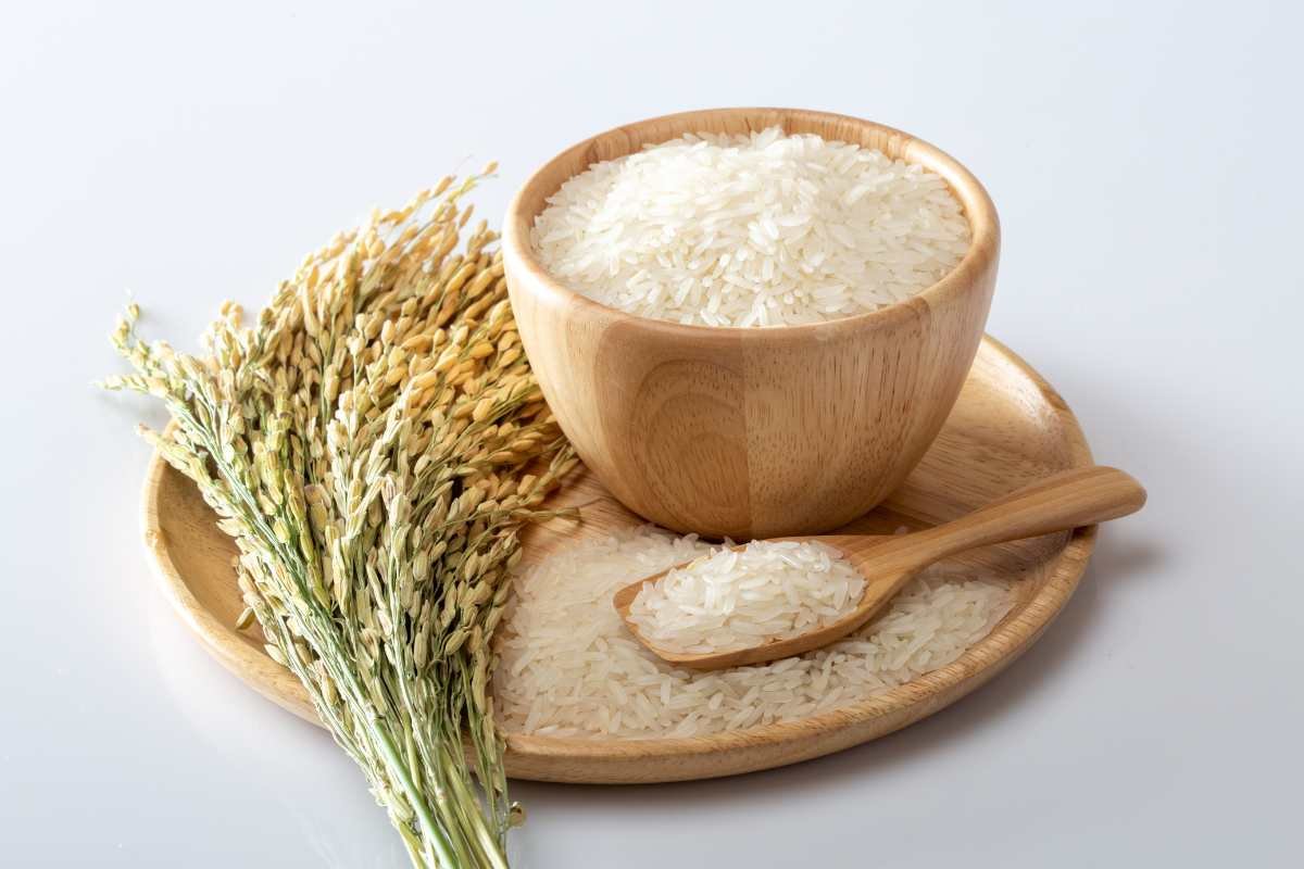 Is Basmati Rice Gluten-Free? Safety & Health Facts | The Lifesciences Magazine